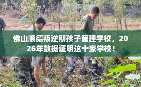 佛山顺德叛逆期孩子管理学校，2026年数据证明这十家学校！