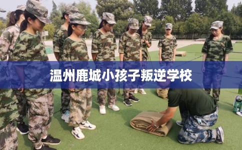 温州鹿城小孩子叛逆学校