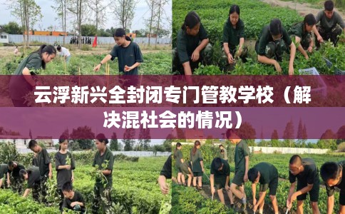 云浮新兴全封闭专门管教学校（解决混社会的情况）
