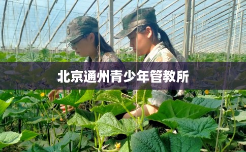 北京通州青少年管教所