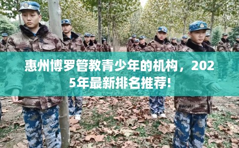 惠州博罗管教青少年的机构，2025年最新排名推荐!