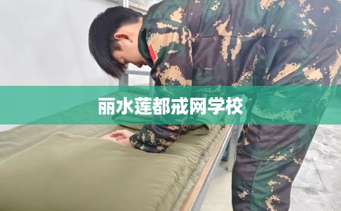 丽水莲都戒网学校