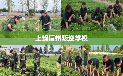 上饶信州叛逆学校