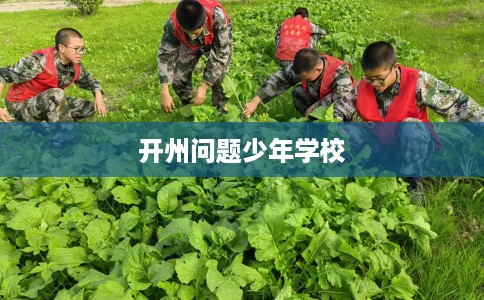 开州问题少年学校