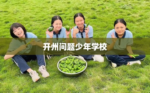 开州问题少年学校