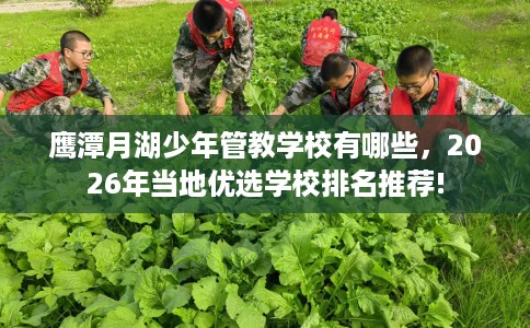 鹰潭月湖少年管教学校有哪些，2026年当地优选学校排名推荐!