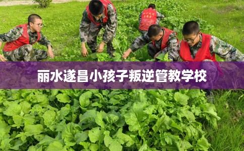 丽水遂昌小孩子叛逆管教学校