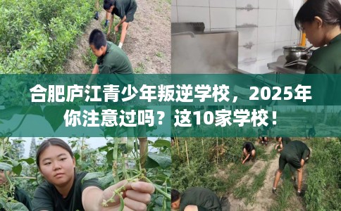 合肥庐江青少年叛逆学校，2025年你注意过吗？这10家学校！
