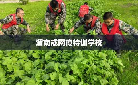 渭南戒网瘾特训学校