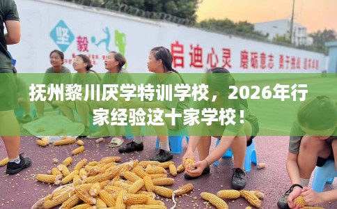 抚州黎川厌学特训学校，2026年行家经验这十家学校！