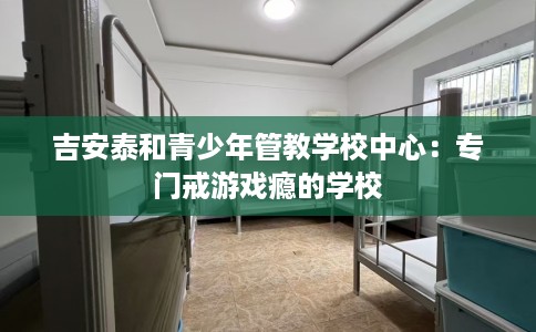 吉安泰和青少年管教学校中心：专门戒游戏瘾的学校