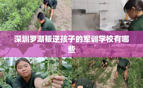 深圳罗湖叛逆孩子的军训学校有哪些