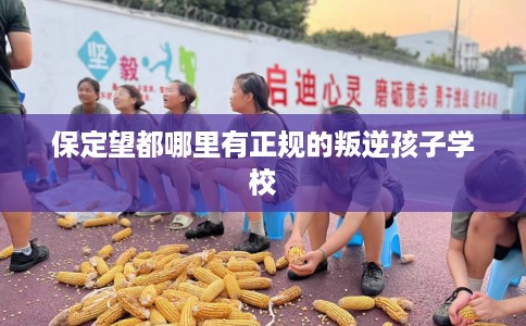 保定望都哪里有正规的叛逆孩子学校