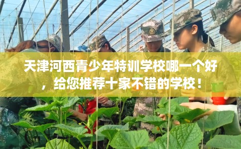 天津河西青少年特训学校哪一个好，给您推荐十家不错的学校！