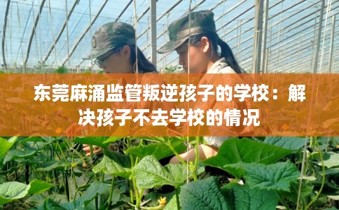 东莞麻涌监管叛逆孩子的学校：解决孩子不去学校的情况