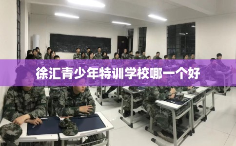 徐汇青少年特训学校哪一个好