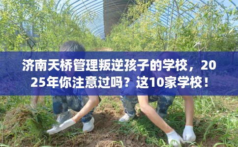 济南天桥管理叛逆孩子的学校，2025年你注意过吗？这10家学校！