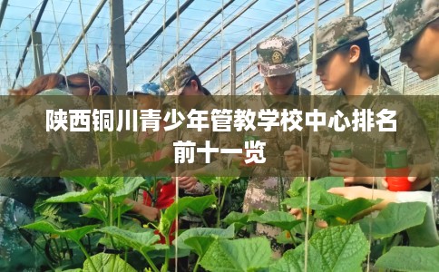 陕西铜川青少年管教学校中心排名前十一览