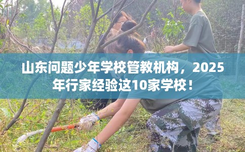 山东问题少年学校管教机构，2025年行家经验这10家学校！