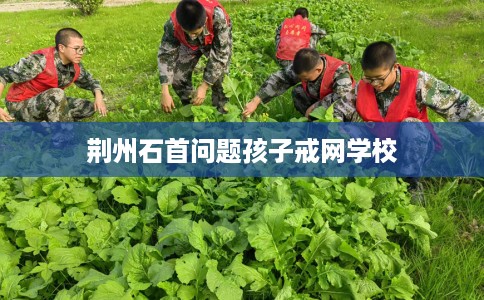 荆州石首问题孩子戒网学校