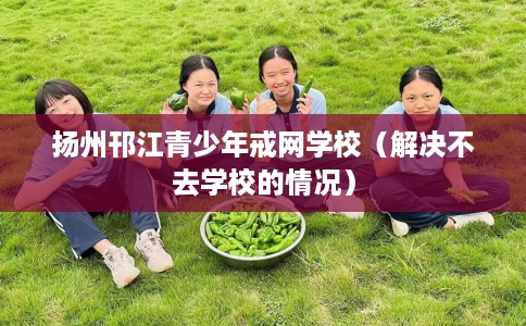 扬州邗江青少年戒网学校（解决不去学校的情况）