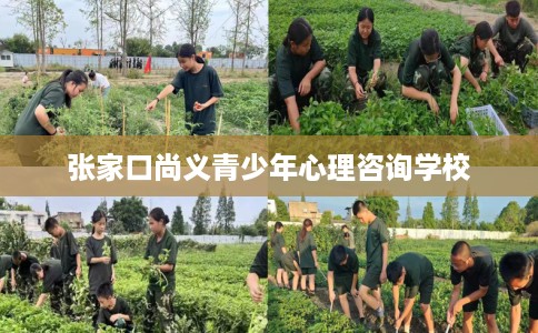 张家口尚义青少年心理咨询学校