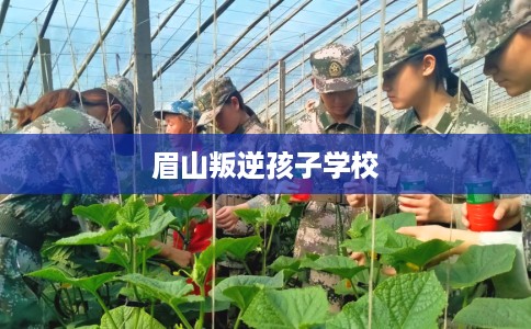 眉山叛逆孩子学校