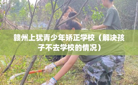 赣州上犹青少年矫正学校（解决孩子不去学校的情况）