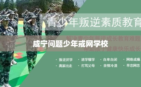 咸宁问题少年戒网学校