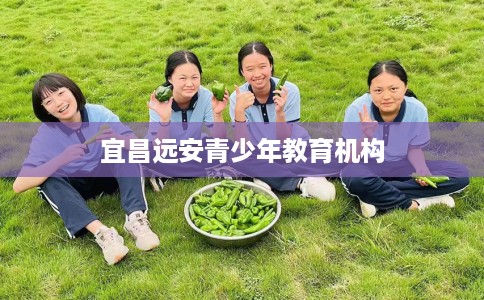 宜昌远安青少年教育机构