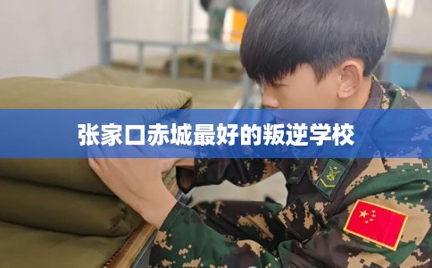 张家口赤城最好的叛逆学校