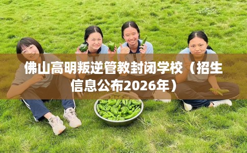 佛山高明叛逆管教封闭学校（招生信息公布2026年）