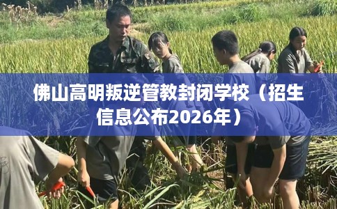 佛山高明叛逆管教封闭学校（招生信息公布2026年）