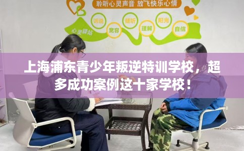 上海浦东青少年叛逆特训学校，超多成功案例这十家学校！