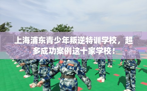上海浦东青少年叛逆特训学校，超多成功案例这十家学校！