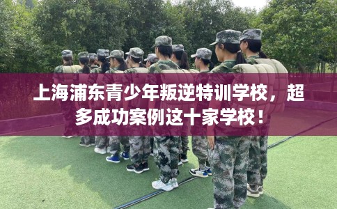 上海浦东青少年叛逆特训学校，超多成功案例这十家学校！