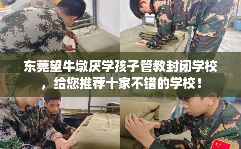 东莞望牛墩厌学孩子管教封闭学校，给您推荐十家不错的学校！