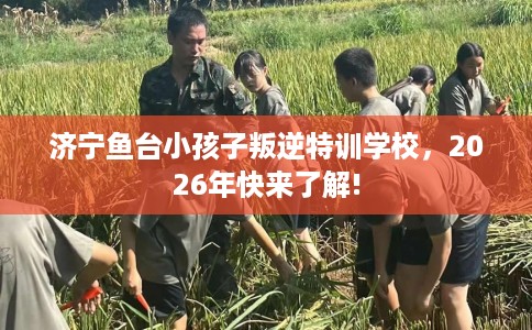 济宁鱼台小孩子叛逆特训学校，2026年快来了解!