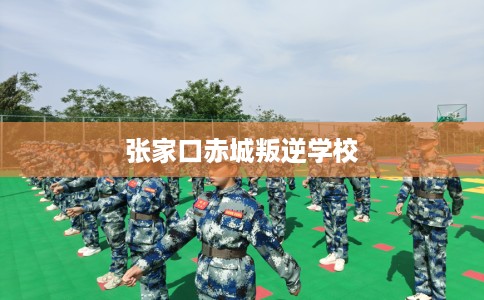 张家口赤城叛逆学校