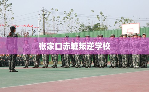 张家口赤城叛逆学校