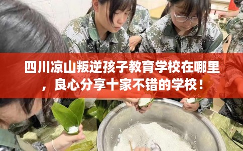 四川凉山叛逆孩子教育学校在哪里，良心分享十家不错的学校！