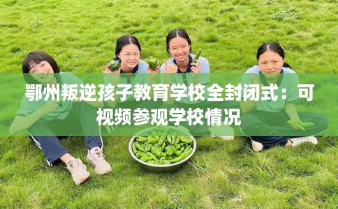 鄂州叛逆孩子教育学校全封闭式：可视频参观学校情况