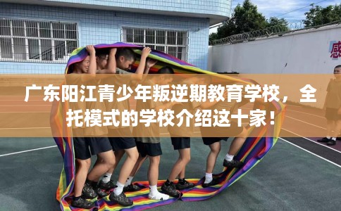 广东阳江青少年叛逆期教育学校，全托模式的学校介绍这十家！