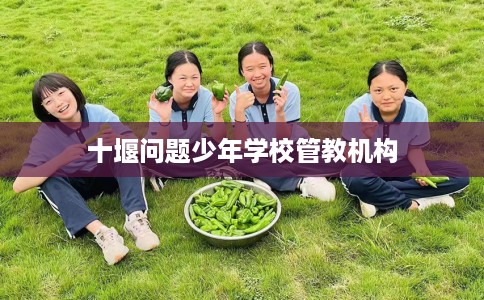 十堰问题少年学校管教机构