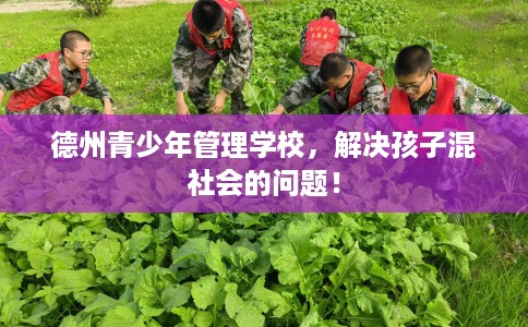 德州青少年管理学校，解决孩子混社会的问题！