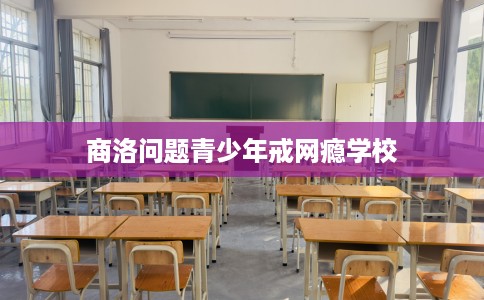 商洛问题青少年戒网瘾学校