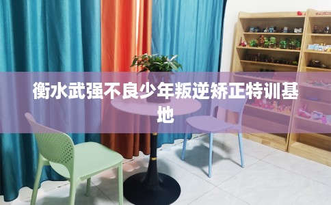 衡水武强不良少年叛逆矫正特训基地