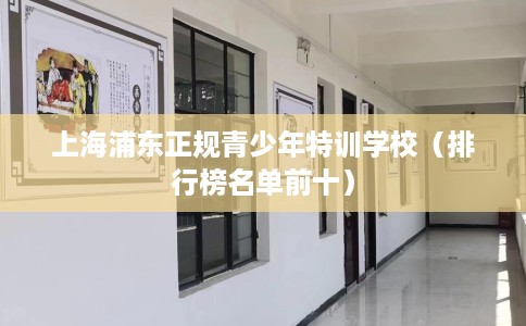 上海浦东正规青少年特训学校（排行榜名单前十）