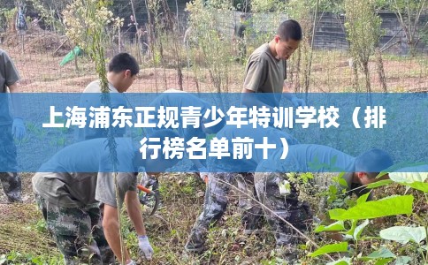 上海浦东正规青少年特训学校（排行榜名单前十）