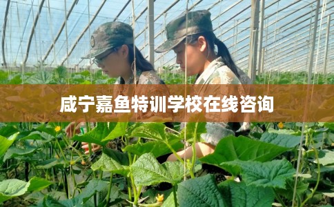 咸宁嘉鱼特训学校在线咨询